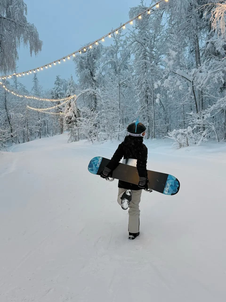 Snowboardel — главное фото