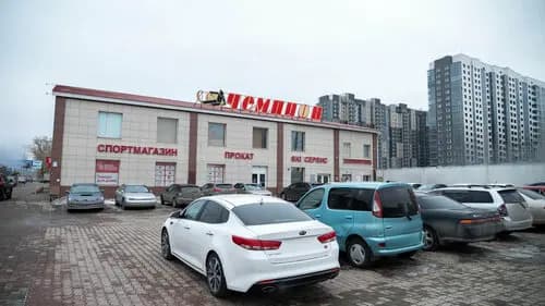 Медведь — главное фото