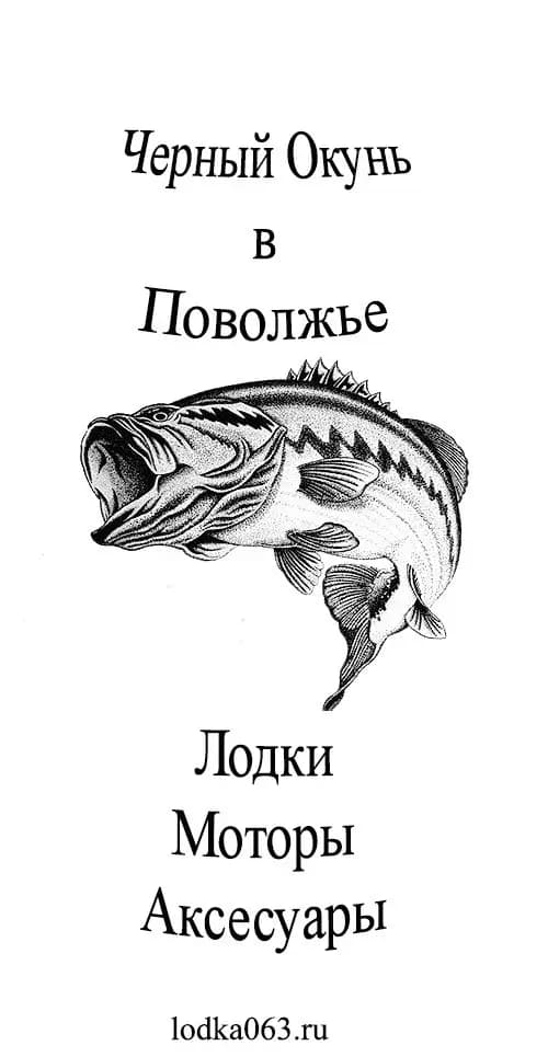 Черный окунь — фото 2
