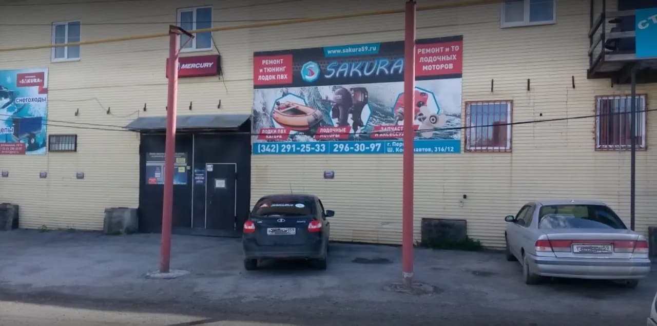 Сакура — главное фото
