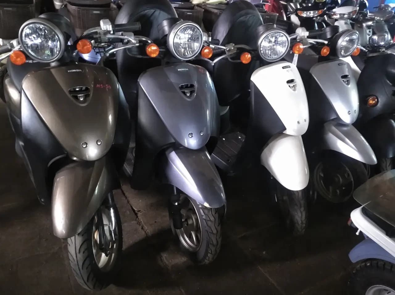 Magic-Moto — фото 2