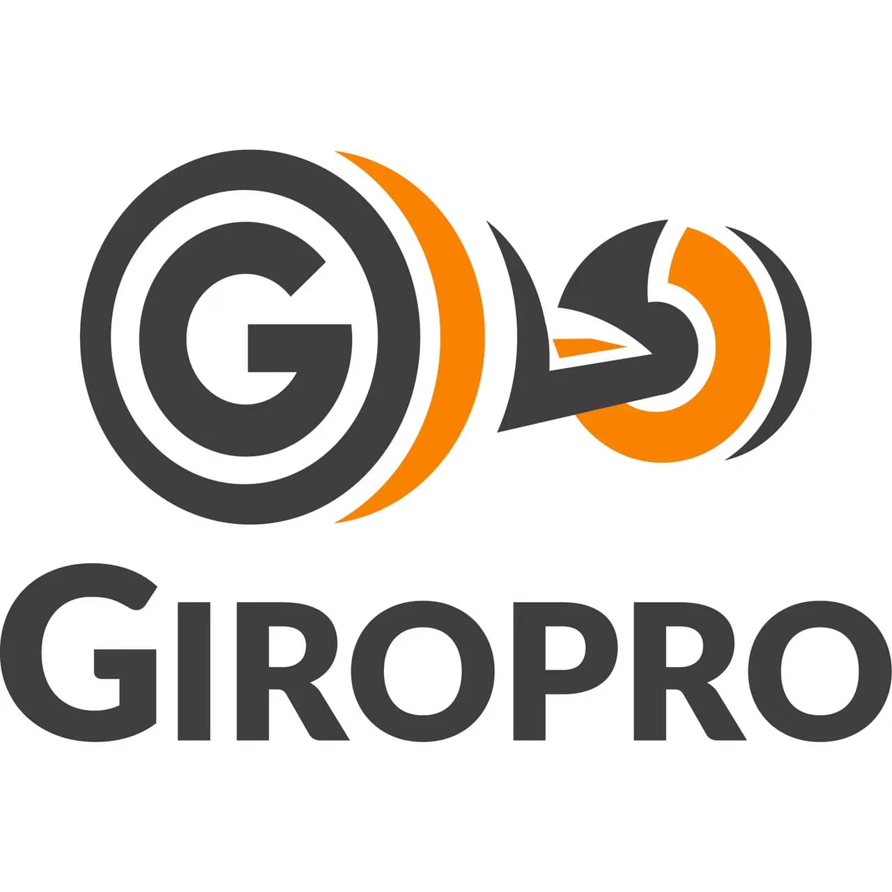 Гиропро — фото 2