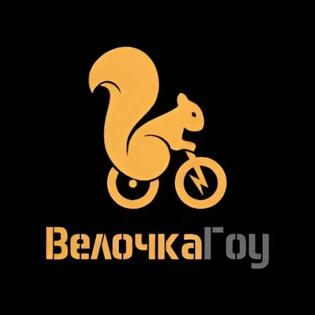 Велочка ГОУ — фото 2