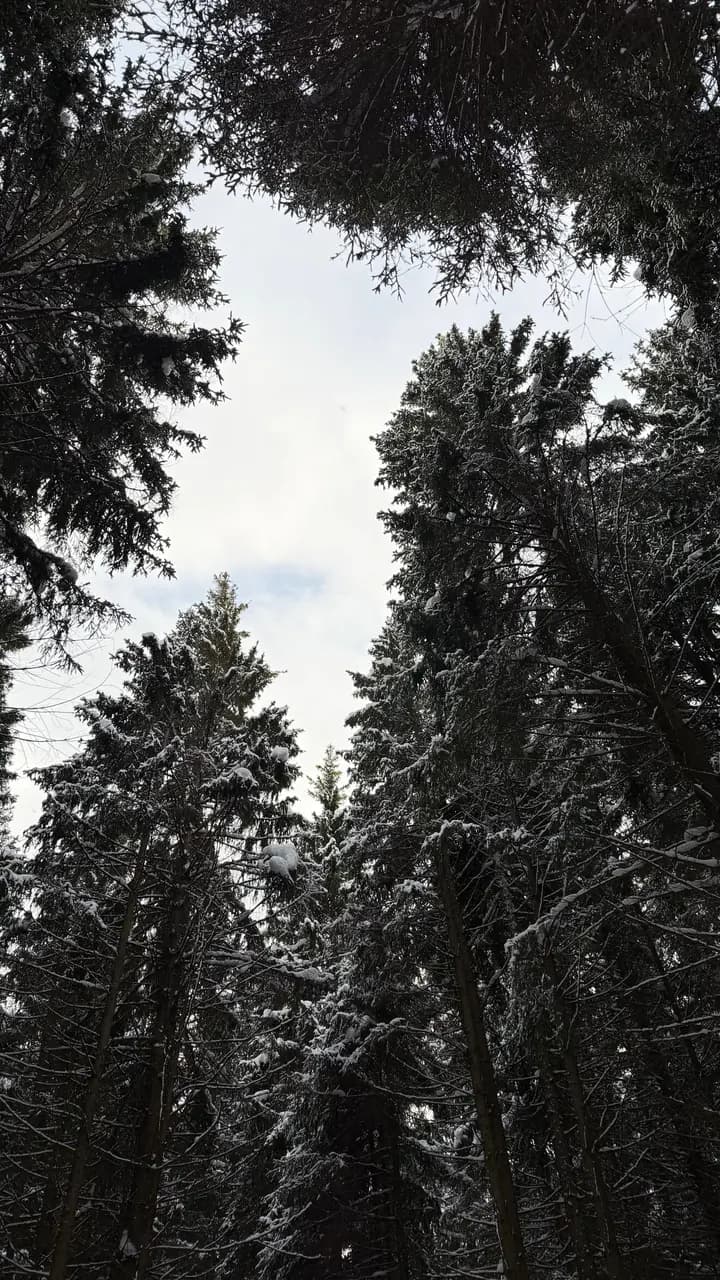 ПитУфа — фото 3