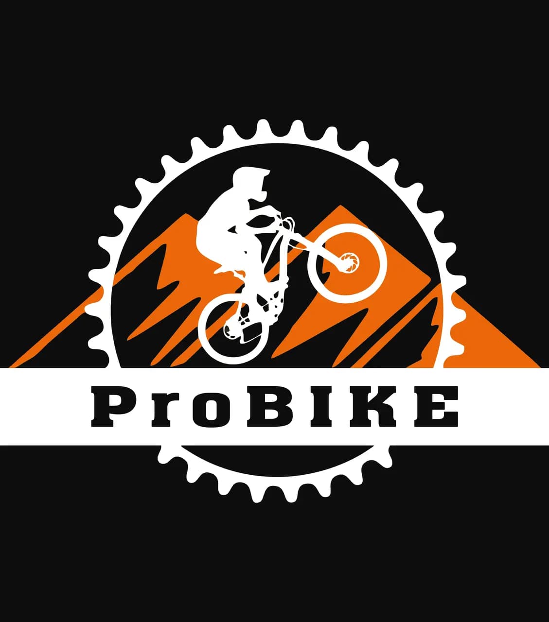 ProBike — фото 2