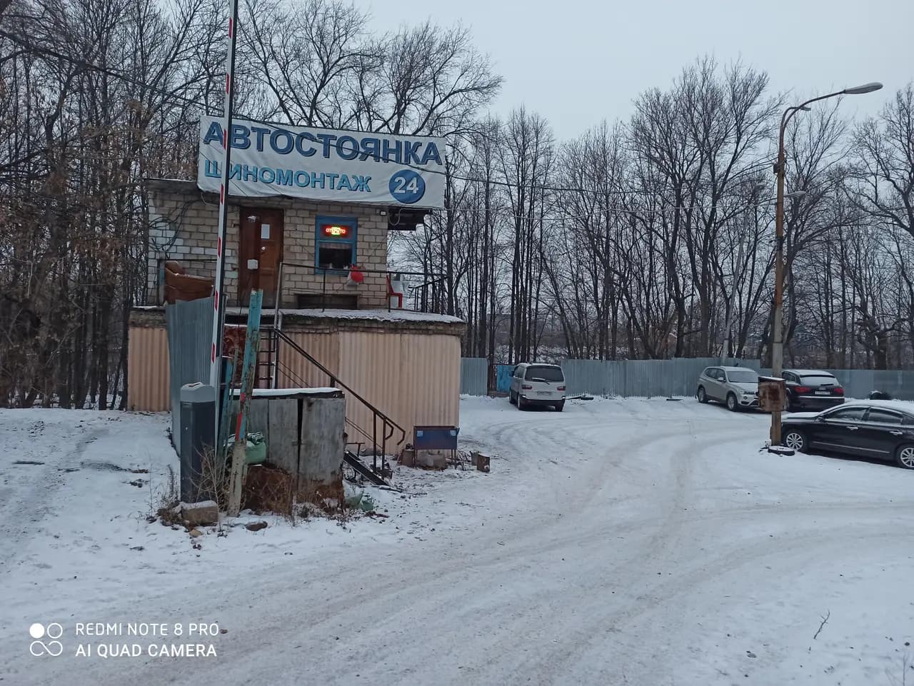 Дубки — главное фото