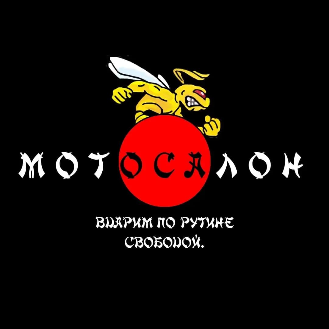 Оса — фото 2