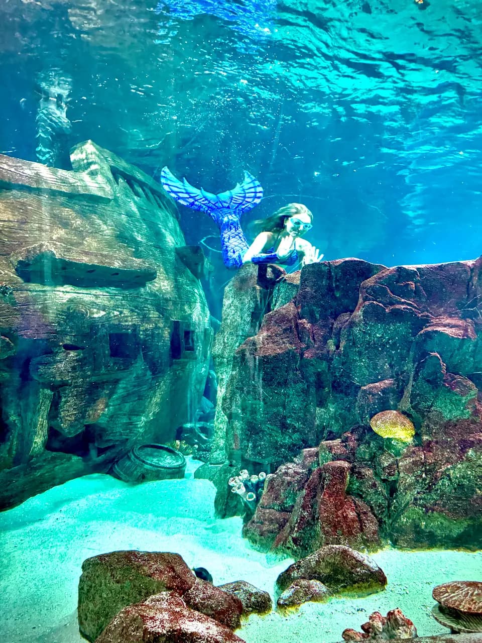 Sochi Discovery World Aquarium — фото 3