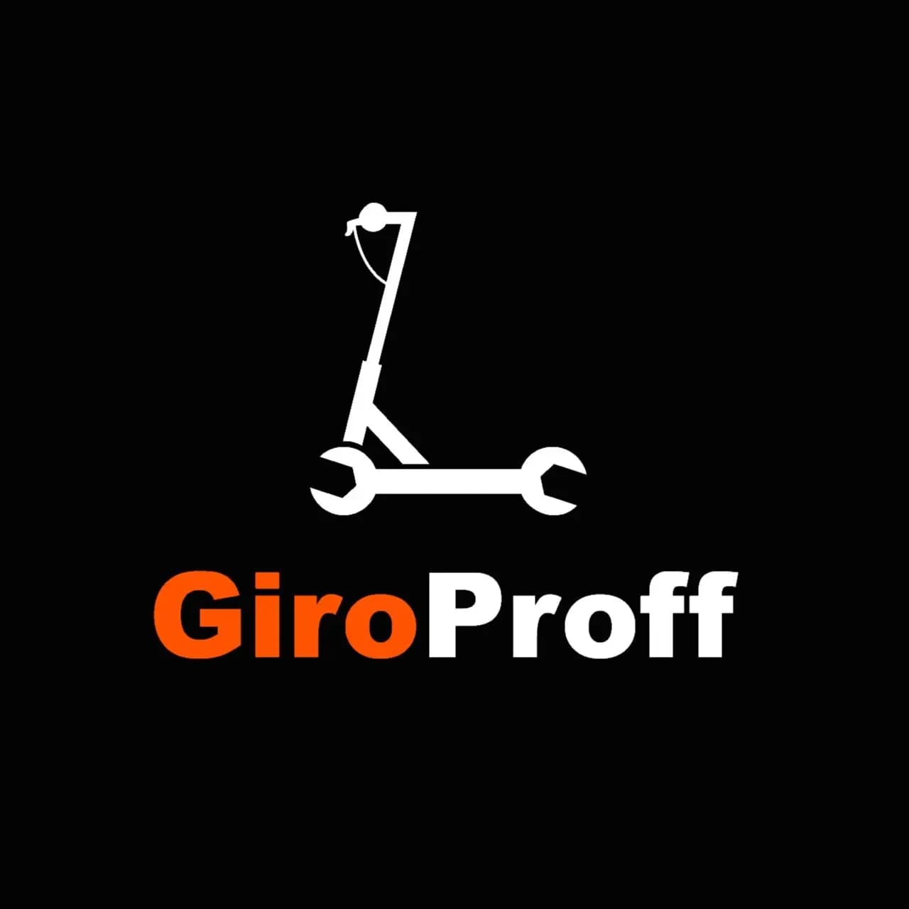 GiroProff — фото 2