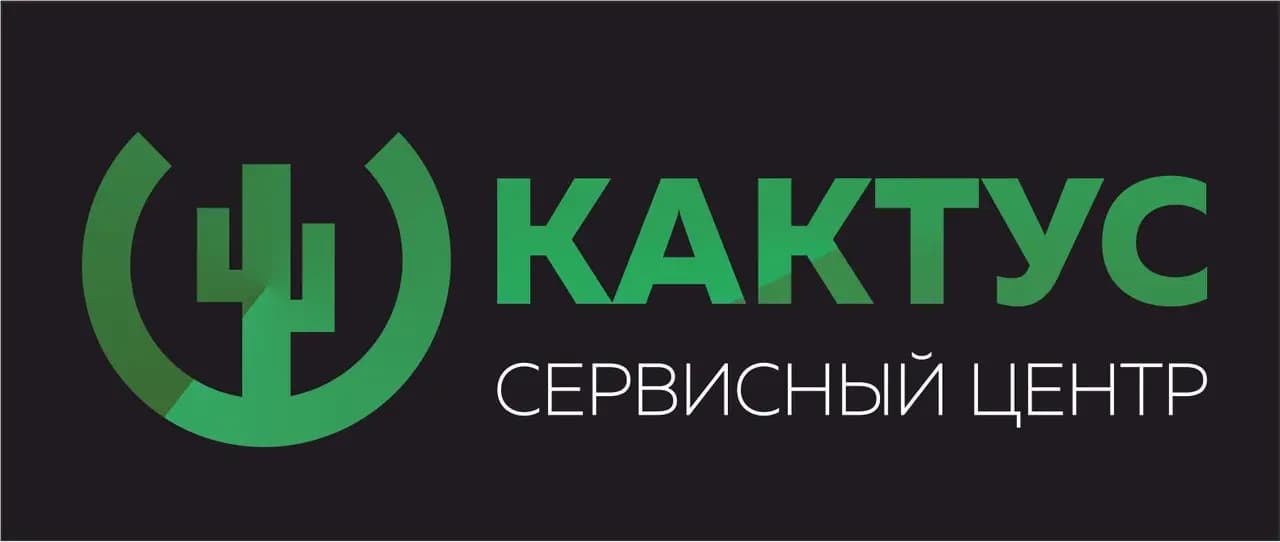 Кактус — фото 2