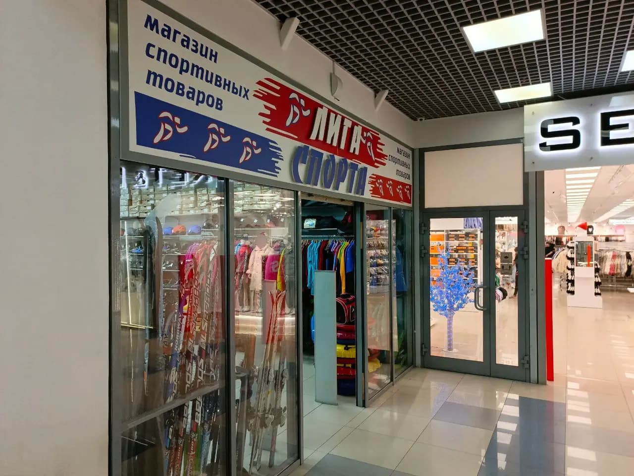 Лига спорта — фото 3