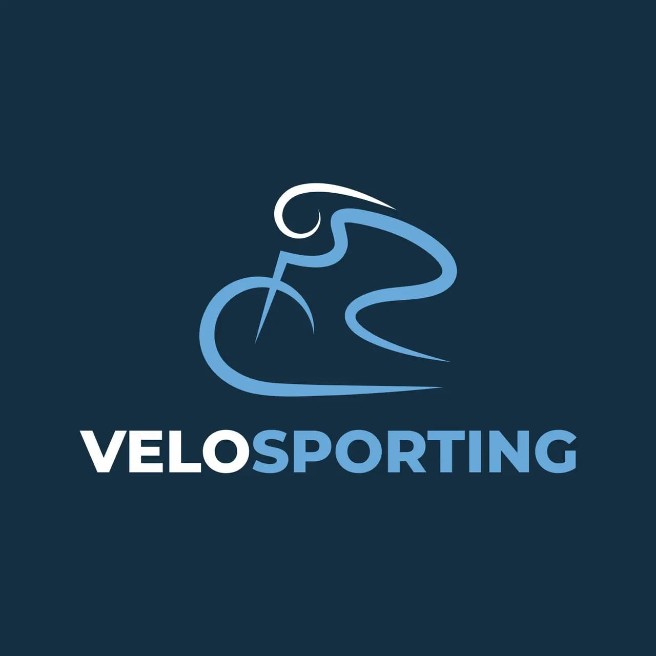 VeloSporting — фото 2