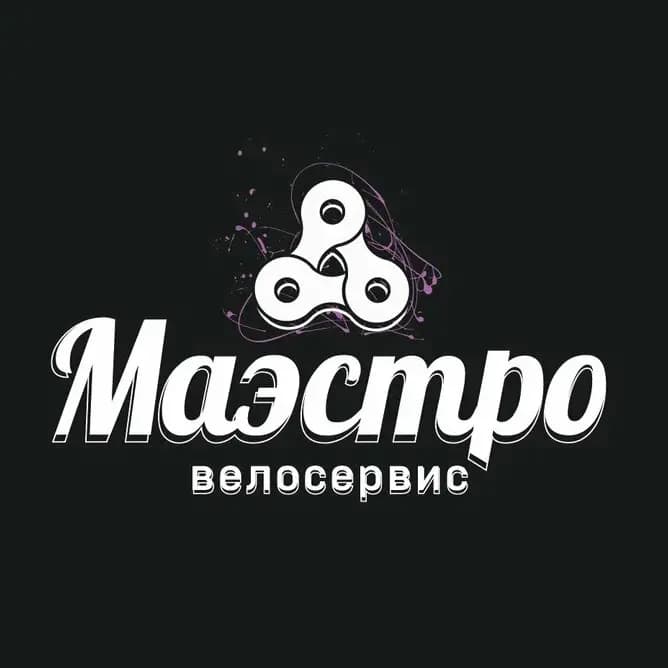 Маэстро — фото 2