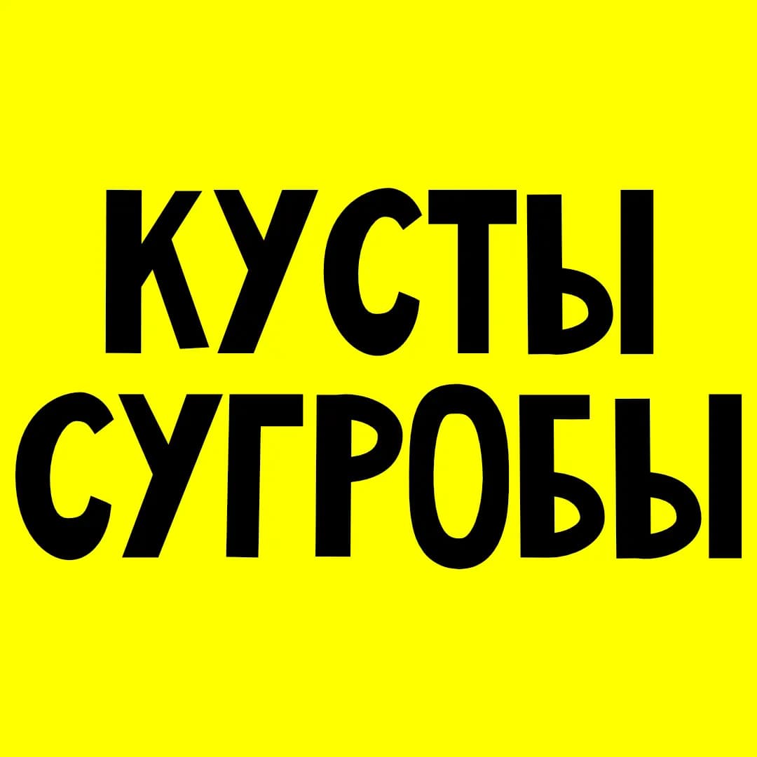 Кусты-Сугробы — фото 2