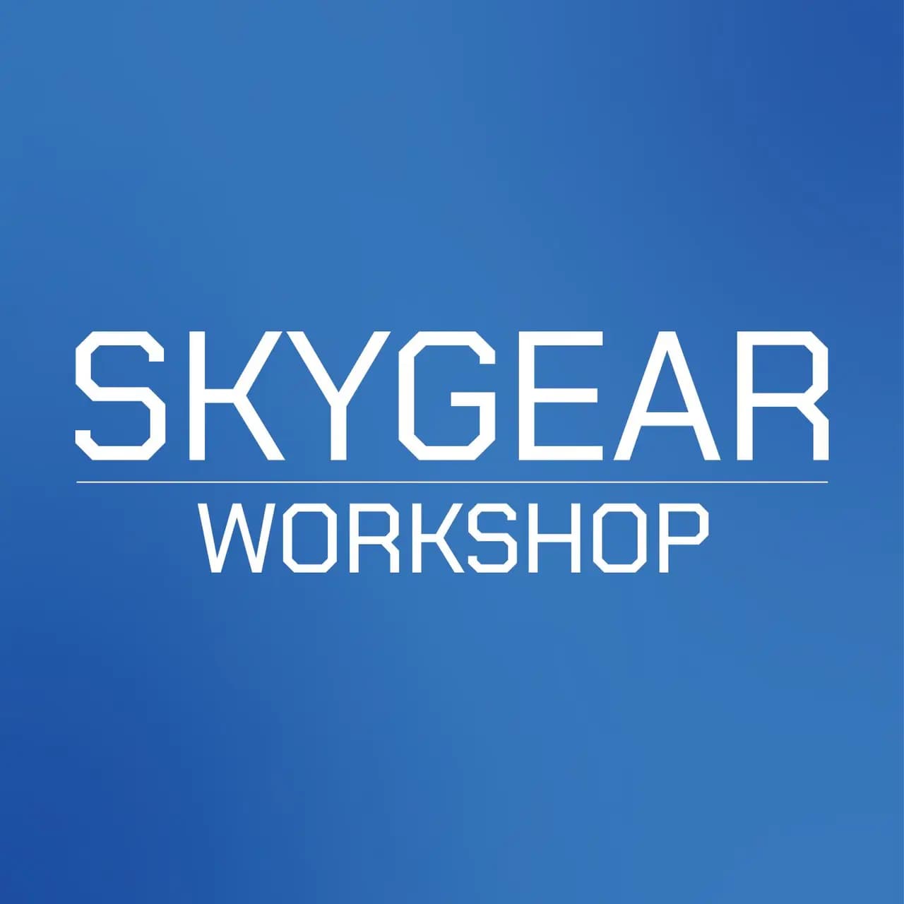 Skygear Workshop — фото 2