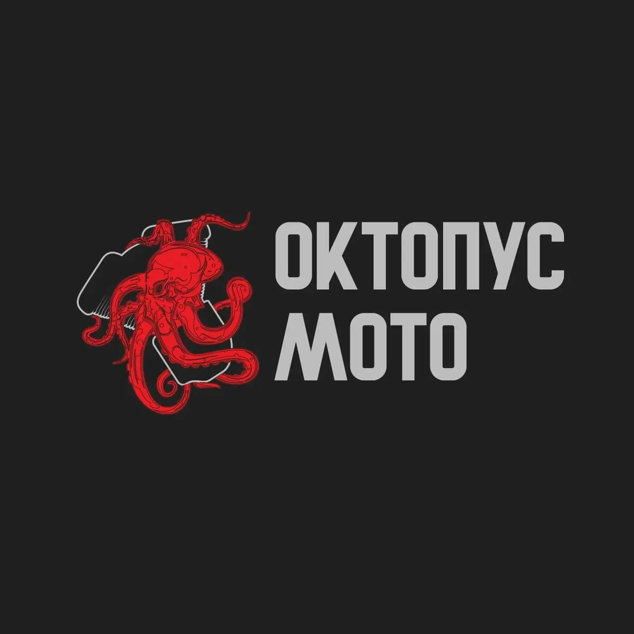 Октопус Мото — фото 2
