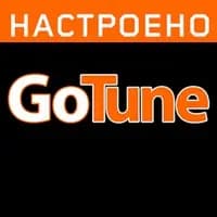 GoTune — фото 2