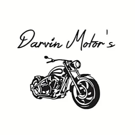 Darvin Motor's — фото 2