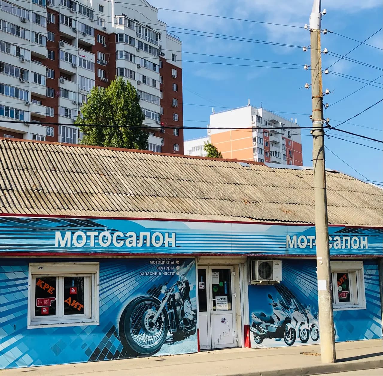Нихон-мото — главное фото