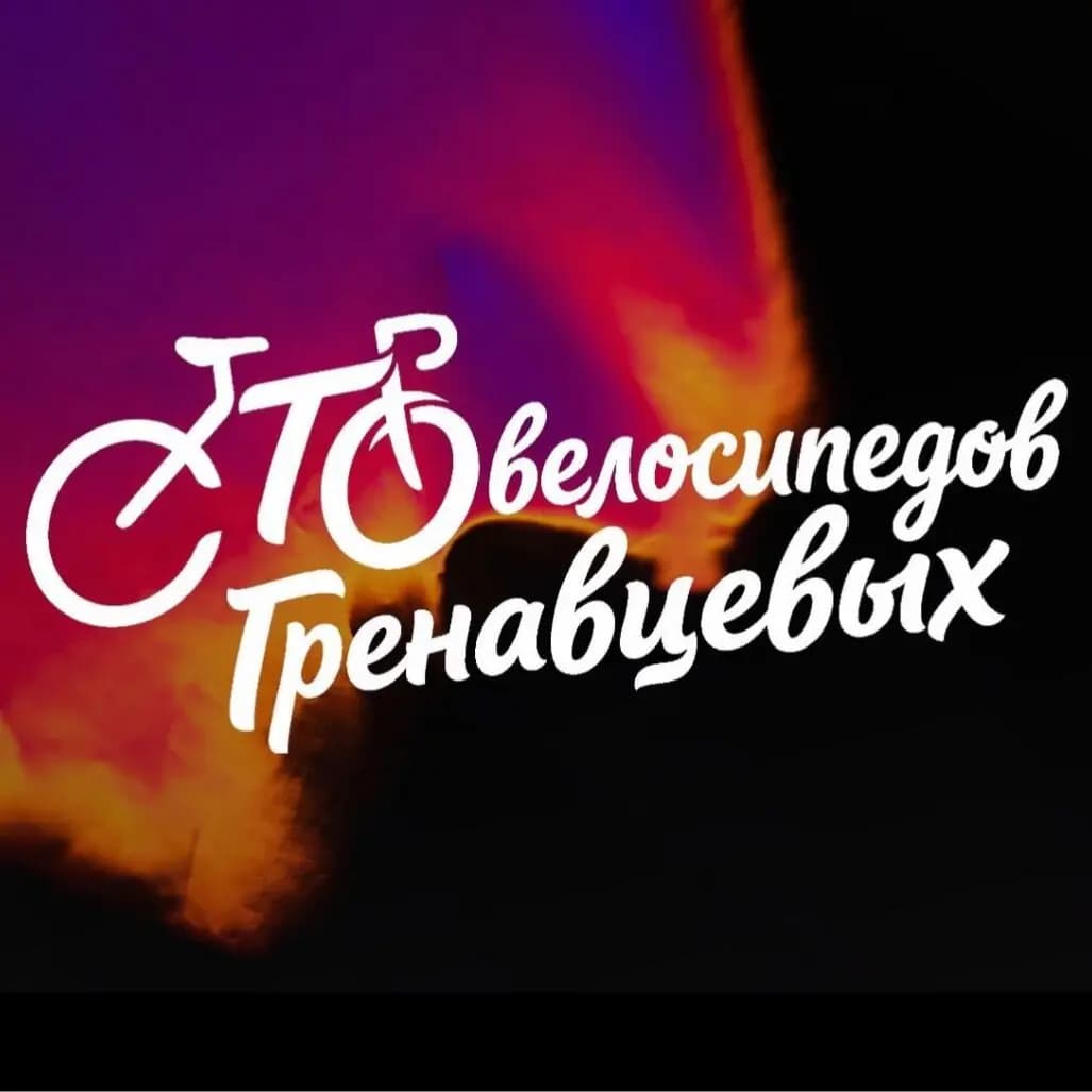 СТО велосипедов Гренавцевых — фото 2