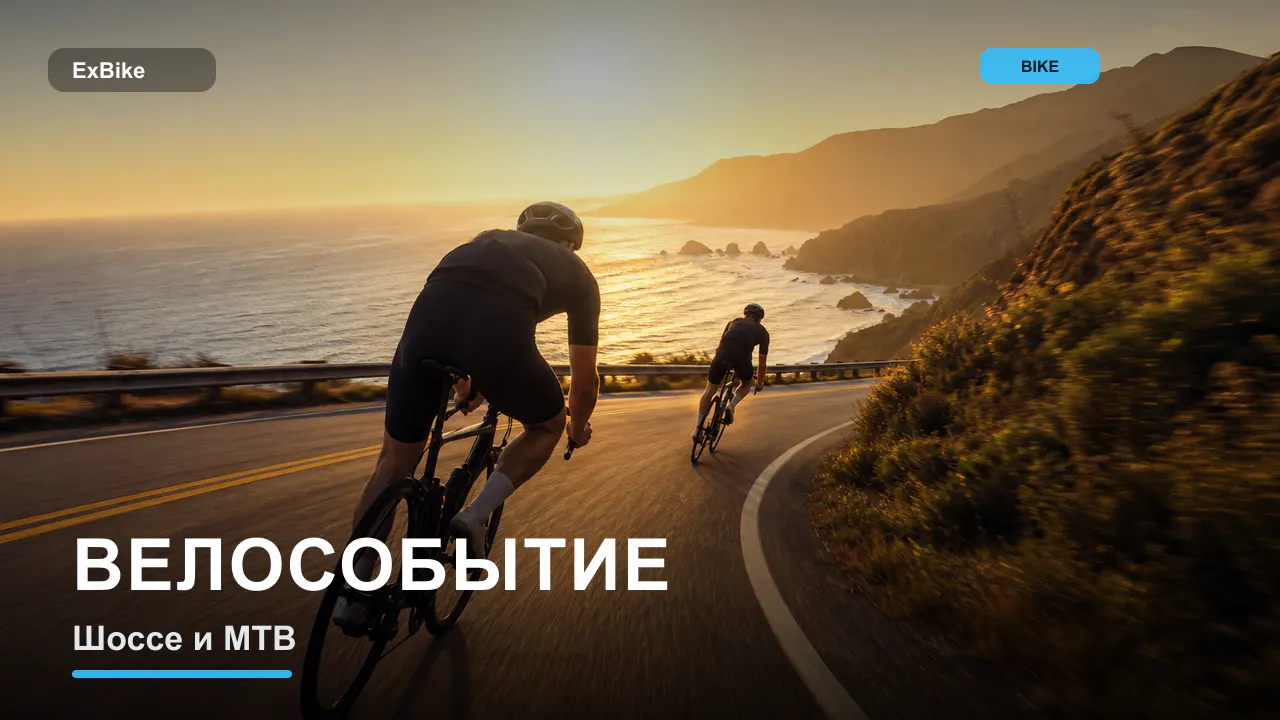 ЧиП, Кубок области