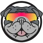 VeloDog — фото 2