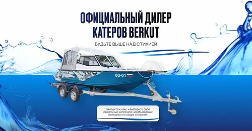 Беркут
